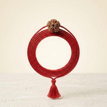 5 Mukhi Rudraksha